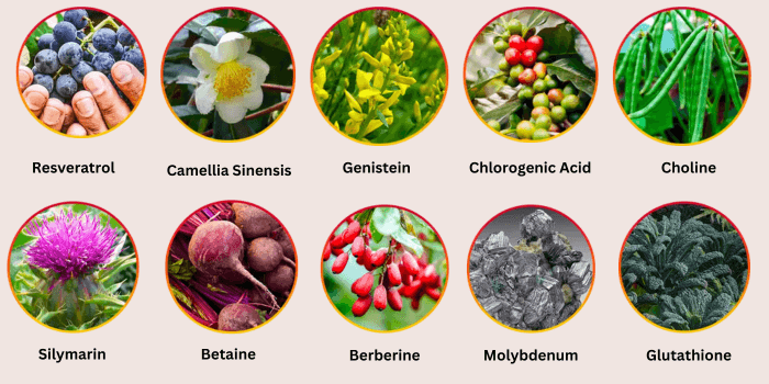Hepatoburn Reviews